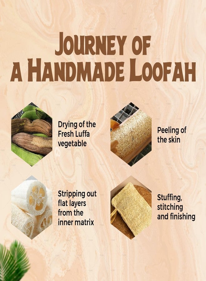 Ross Natural Sun-Dried Loofah | Organic Exfoliating Bath Sponge & Scrubber for Men & Women | Deep Cleansing Luffa for Shower, Skincare & Body Care | Eco-Friendly & Biodegradable (Pack of 4) - Image 4