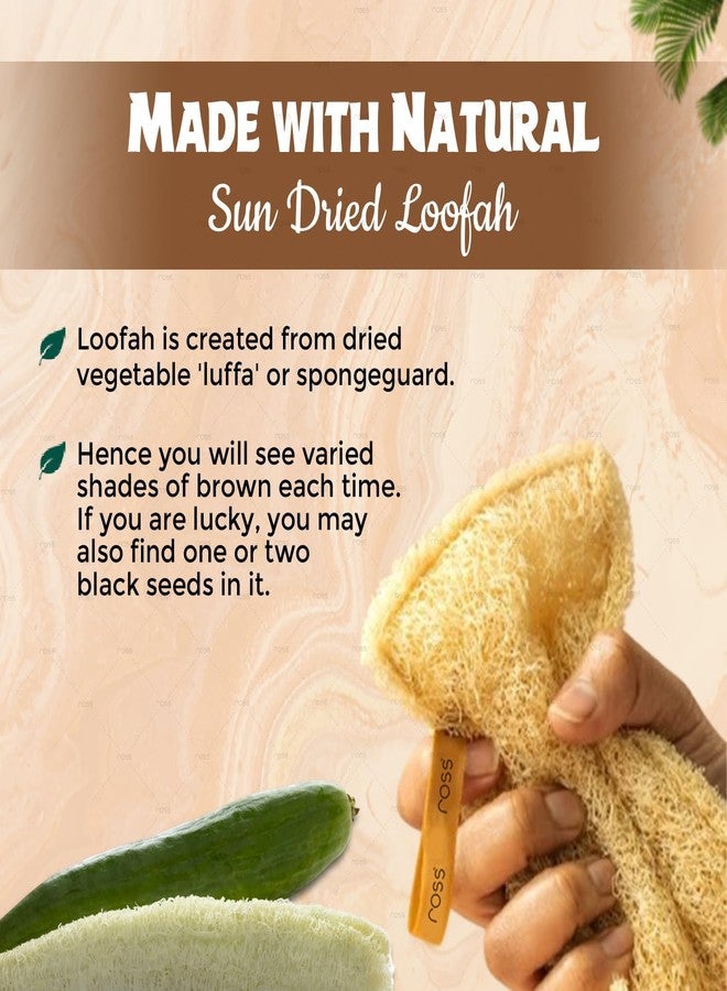 Ross Natural Sun-Dried Loofah | Organic Exfoliating Bath Sponge & Scrubber for Men & Women | Deep Cleansing Luffa for Shower, Skincare & Body Care | Eco-Friendly & Biodegradable (Pack of 4) - Image 3