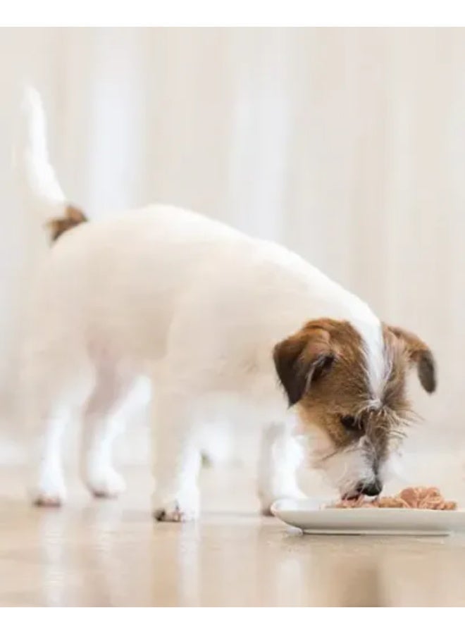 شيسر شرائح دجاج شيسير للكلاب البالغة مع الصبار - 4 علب، وزن كل علبة 150 غرام - Image 5