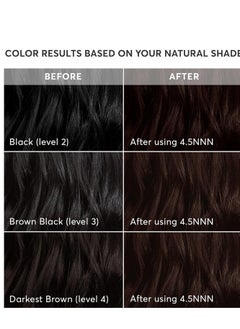 Madison Reed Madison Reed Radiant Hair Color Kit, Dark Brown for 100% Coverage of Resistant Gray Hair, Ammonia-Free, 4.5NNN Barletta Brown, Permanent Hair Dye, Pack of 1  - Image 3