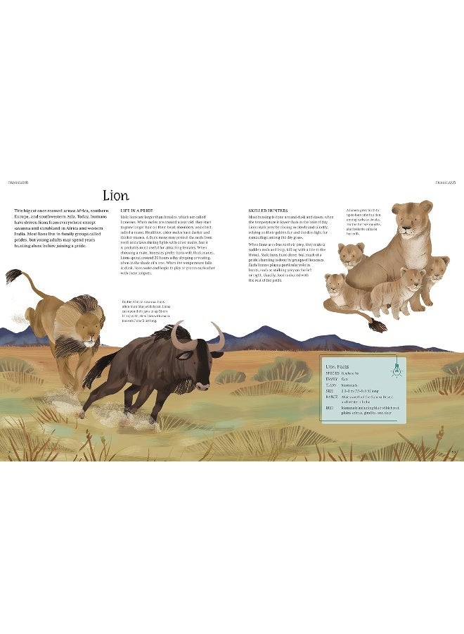 الموسوعة المصورة للحيوانات: رحلة مذهلة عبر مملكة الحيوانات - Image 4