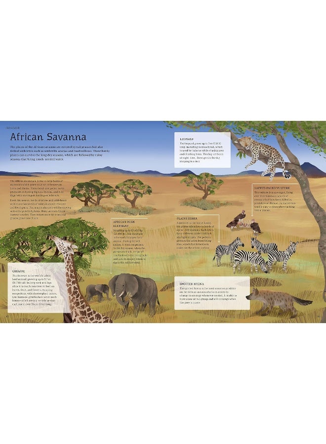 الموسوعة المصورة للحيوانات: رحلة مذهلة عبر مملكة الحيوانات - Image 3