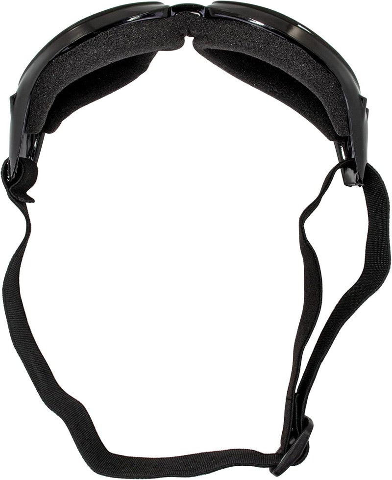 Birdz Eyewear Eagle Motorcycle Goggles - Black Frame with Smoke Lens - Image 5