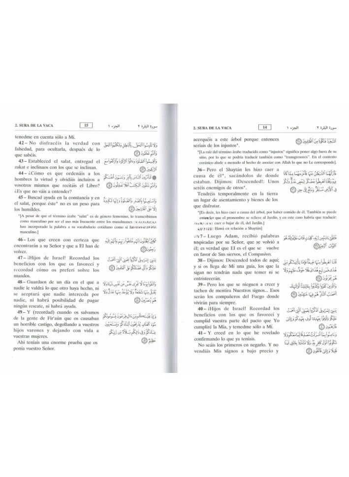 Interpretation of the meanings of the Holy Quran in Spanish - Image 5