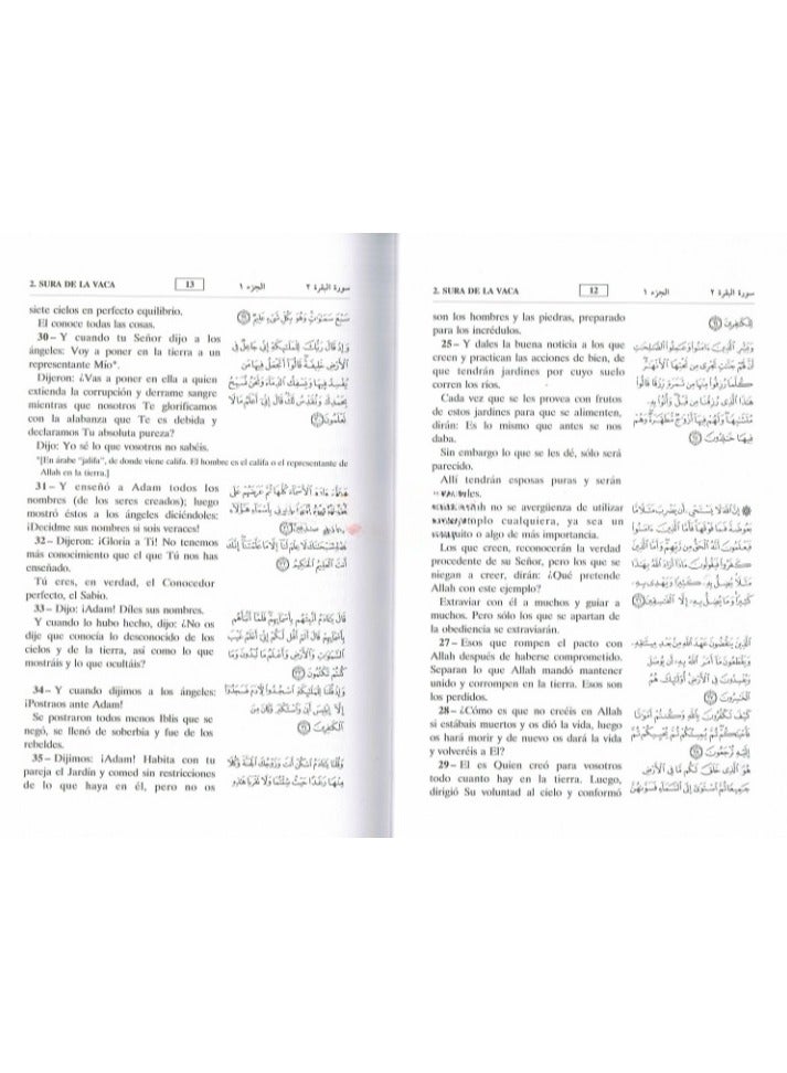 Interpretation of the meanings of the Holy Quran in Spanish - Image 4