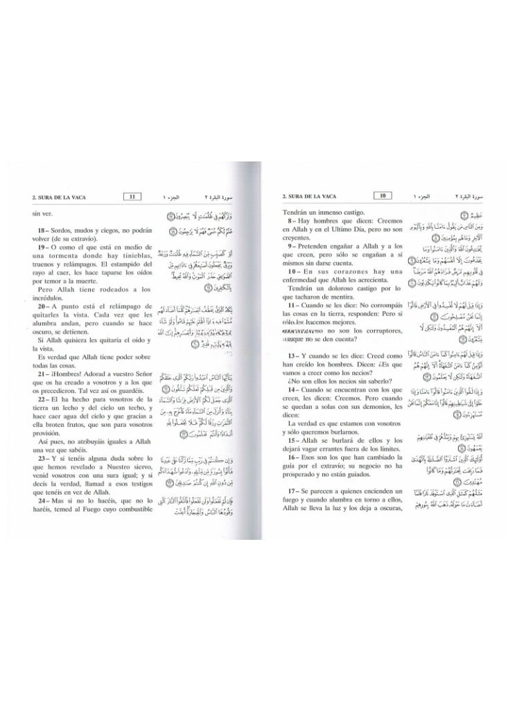 Interpretation of the meanings of the Holy Quran in Spanish - Image 2