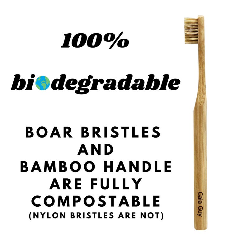 Gaia Guy Natural Bristle Bamboo Toothbrush (NO Nylon - Boar Hair ONLY) - Totally Compostable & Biodegradable Boar Bristle and Bamboo Toothbrushes - Zero Waste - 6-Pack - Image 4