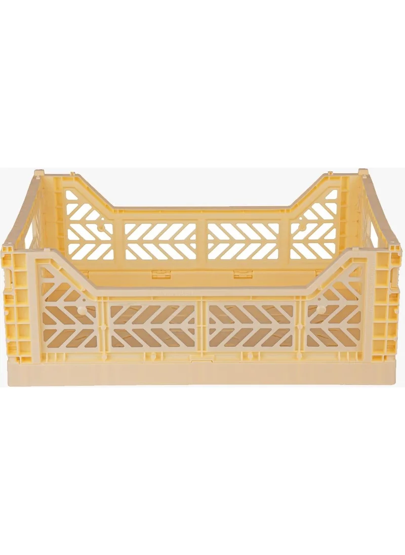 Ayyıldız Aykasa 403014 Midibox Banana Foldable Case