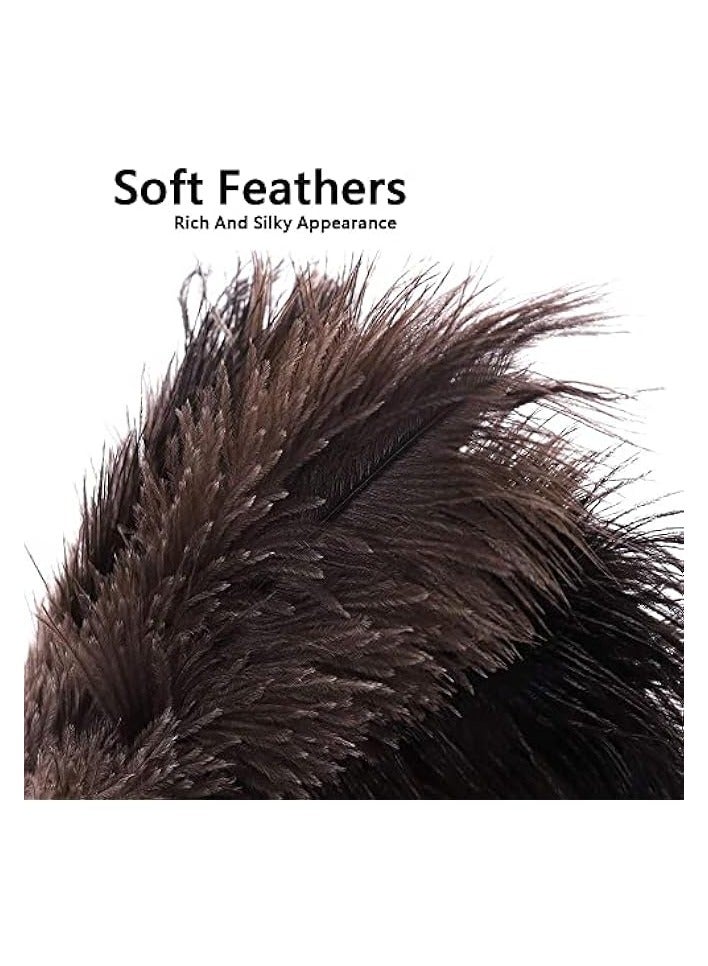 إيروريكس منفضة ريش، ريش أسود 35 سم بمقبض خشبي، منفضة غبار سيارة قابلة لإعادة الاستخدام والغسل، منفضة غبار صديقة للبيئة للمنزل والمكتب والمطبخ - Image 2