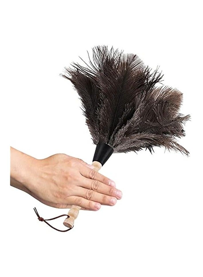 إيروريكس منفضة ريش، ريش أسود 35 سم بمقبض خشبي، منفضة غبار سيارة قابلة لإعادة الاستخدام والغسل، منفضة غبار صديقة للبيئة للمنزل والمكتب والمطبخ - Image 1