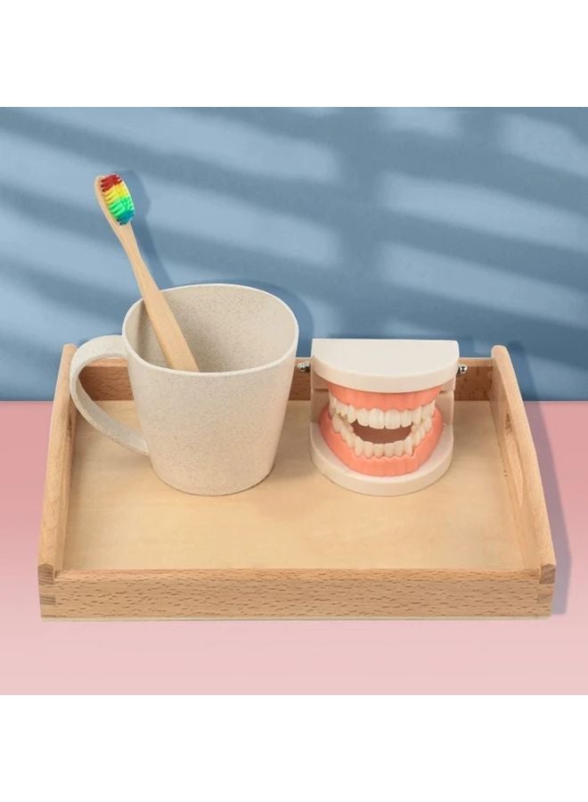 Pink Teeth Brushing Practice Model Set With Removable Fake Teeth For Early Oral Care Education - Image 4