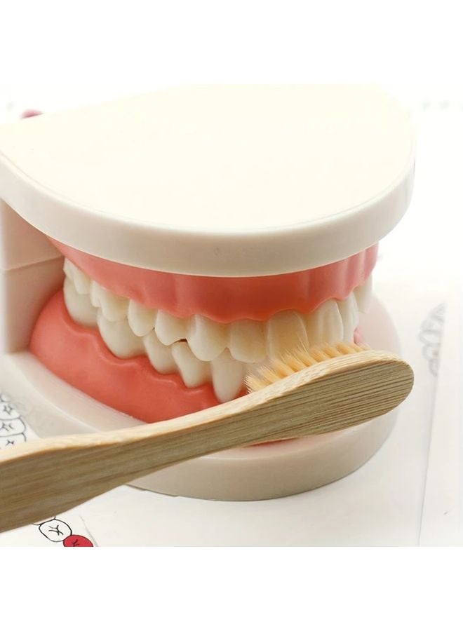Pink Teeth Brushing Practice Model Set With Removable Fake Teeth For Early Oral Care Education - Image 3
