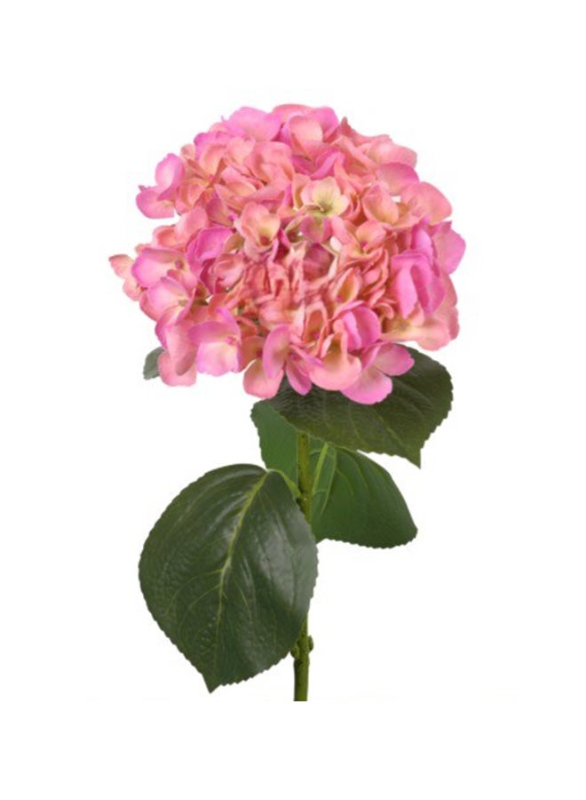 HRT WALL Hydrangea macrophylla on the stem - Dark pink 