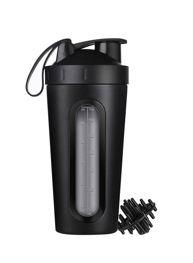 NIBEMINENT Stainless Steel Shaker Bottle With Whisk Ball Black 22x9cm - Image 1
