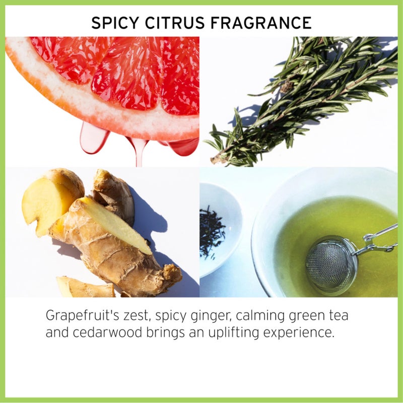 Fekkai فيكاي كريم تصفيف لامع أصلي - 3.4 أونصة - يعزز اللمعان، ينعم التجاعيد ويحدد التجاعيد بزيت الزيتون - خالي من الكبريتات، البارابين، الفثالات - نباتي، خالي من القسوة - Image 4