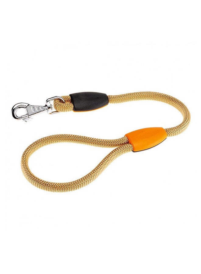 NIBEMINENT Sport Nylon Rope Dog Leash Assorted