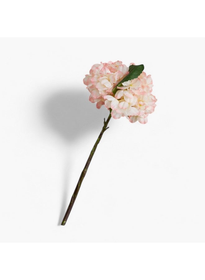 Home Box Liara Dried Hydrangea Flower Stem 35 cm - Image 5