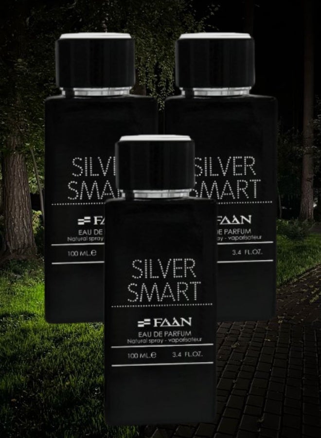 Faan 3 Pieces Silver Smart Perfume 100ML - Image 1