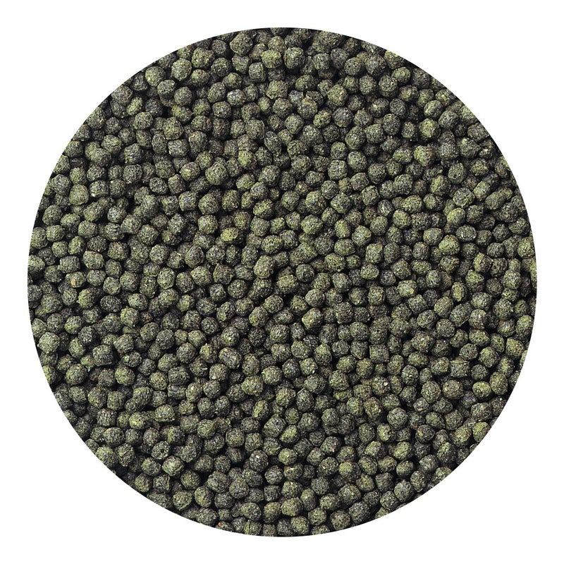 Hikari حبوب هيراري سيكلد إكسل العائمة للحيوانات الأليفة، 250 جرام - Image 4