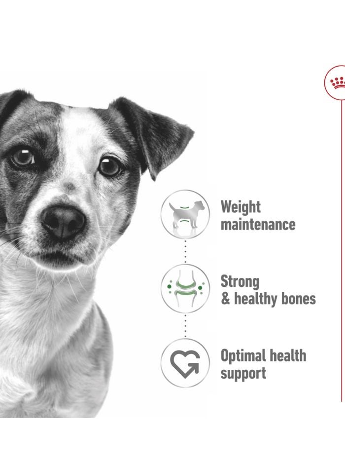 ROYAL CANIN Size Health Nutrition Mini Adult (WET FOOD - Pouches) 12 x 85g - Image 3