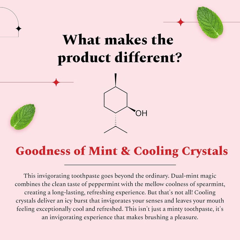 Perfora مجموعة تبييض الأسنان | فرشاة أسنان يدوية عبوة من 2 ومعجون أسنان إكسترا فريش - 100 جرام | تركيبة آمنة للمينا وخالية من الحساسية للعناية بالفم وإزالة بقع الأسنان - Image 5