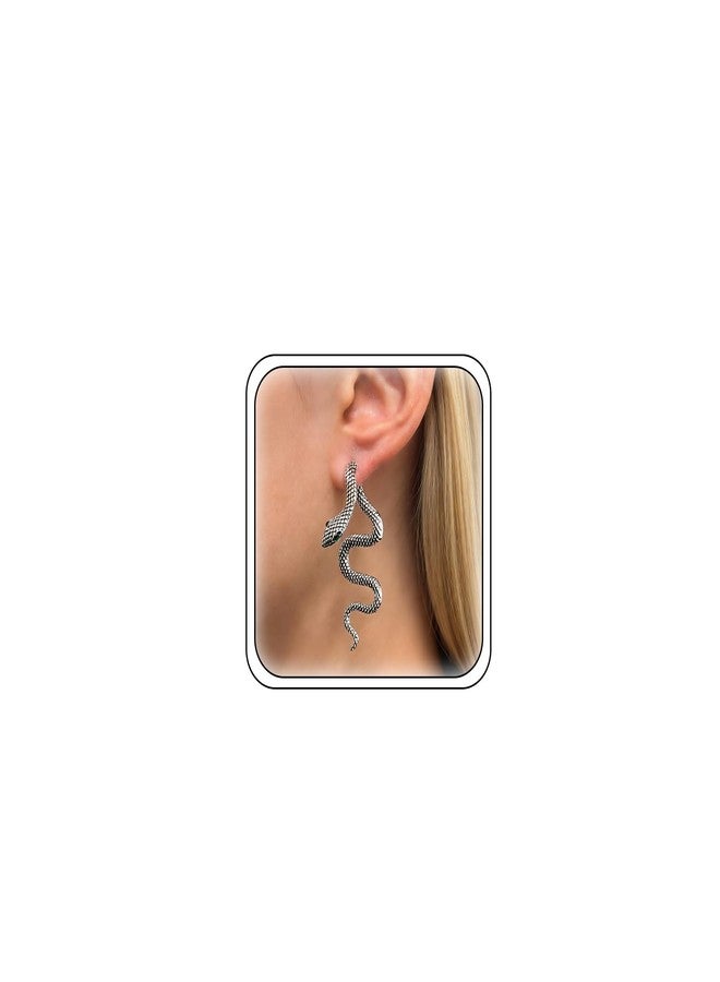 HTH Snake Earrings for Women Gothic Punk Front Back Snake Stud Earrings Snake Accessories, Metal, No Gemstone - Image 1