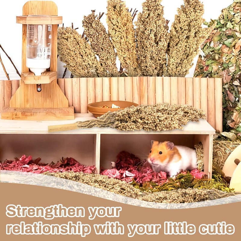 Natural Hamster Sprays - 5pcs Natural Sun-Dried Red Sorghum Grain,Flower & Herb Grain Stalks for Cage Habitat Bedding Decor for Dwarf Syrian Hamsters,Gerbils,Mice,Cockatiels - Image 3