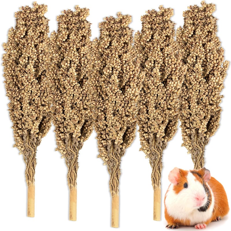 Natural Hamster Sprays - 5pcs Natural Sun-Dried Red Sorghum Grain,Flower & Herb Grain Stalks for Cage Habitat Bedding Decor for Dwarf Syrian Hamsters,Gerbils,Mice,Cockatiels - Image 1