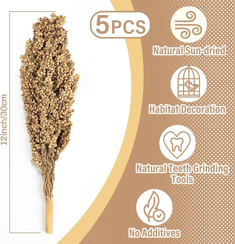 Natural Hamster Sprays - 5pcs Natural Sun-Dried Red Sorghum Grain,Flower & Herb Grain Stalks for Cage Habitat Bedding Decor for Dwarf Syrian Hamsters,Gerbils,Mice,Cockatiels - Image 2