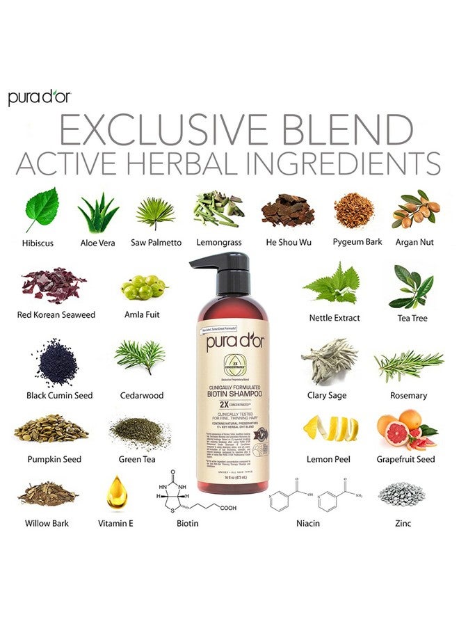 بيورا دور شامبو وبلسم بيوتين من بورا دور، تركيبة سريرية احترافية، للشعر الخفيف - منتجان مركزان لتكثيف الشعر، مانع لهرمون ديهدروتستوستيرون، للنساء والرجال، خاليان من الكبريتات، 16 أونصة × 2 - Image 3