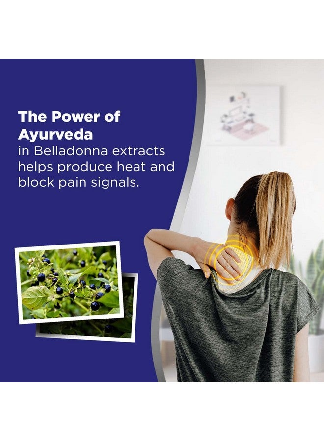 هانزابلاست مجموعة لصقات تخفيف آلام الظهر والرقبة من ليون هيت بلاستر، مكونة من 30 قطعة مع 10 ورقات في كل منها - Image 3