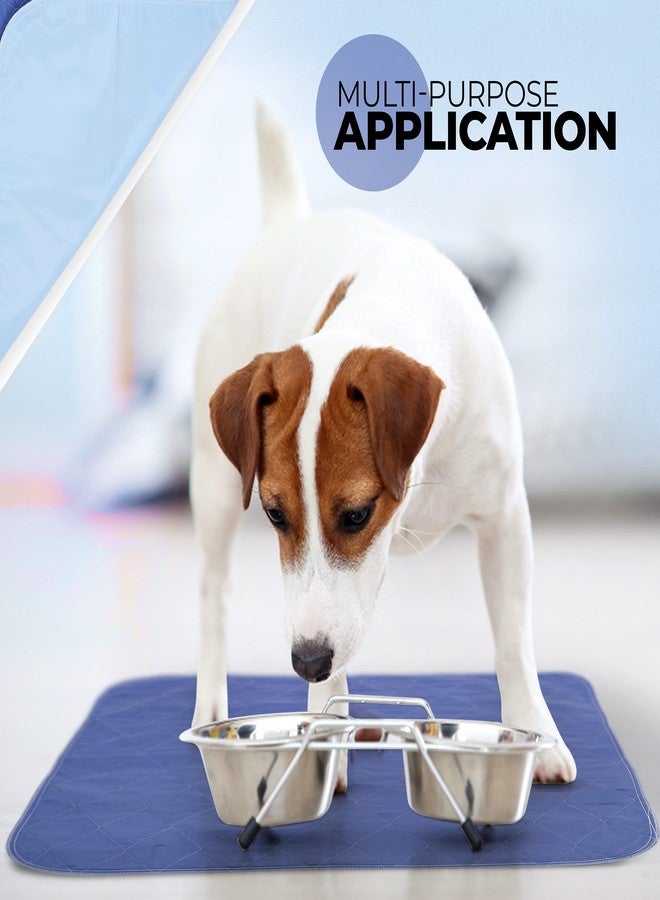 Beck's Classic Beck’s USA Made Reusable Pet Pee Pads for Dog & Cat Pee Problems, Advanced Leak Free Design, Color Change Wetness Indicator, 1 Pad = 500 Disposable, 35X51-2 Pack - Image 5