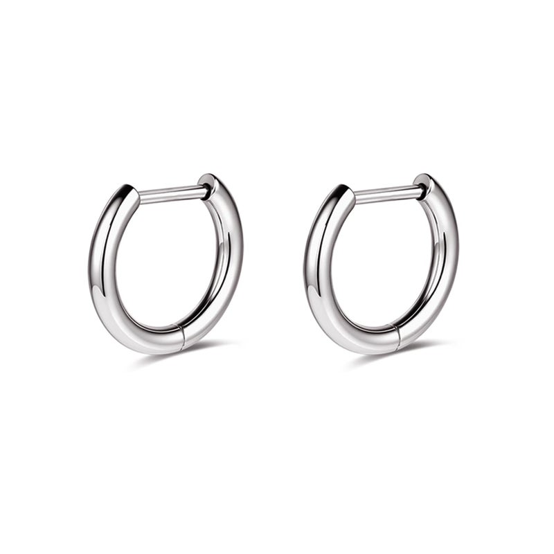 AOEDEJ G23 Titanium Hoop Earrings 18G Steel Gray Small huggie hoop earrings 8mm/10mm/12mm Cartilage for Sensitive Ears for Multiple Piercing Cartilage Hoop Earring Stack Jewelry - Image 1