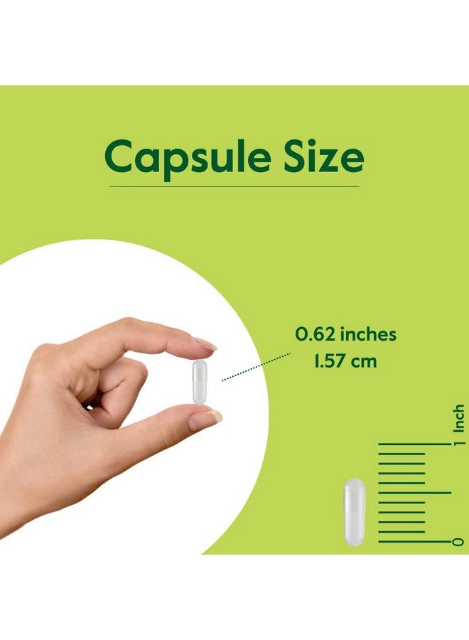 BESTVITE BESTVITE Artemisinin 100mg Per Capsule (120 Vegetarian Capsules) - No Stearates - No Flow Agents - Image 4