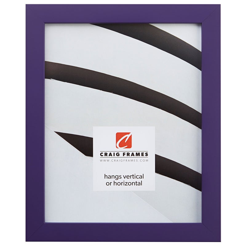 Craig Frames Confetti Modern Purple Picture Frame 11 x 17 Inch
