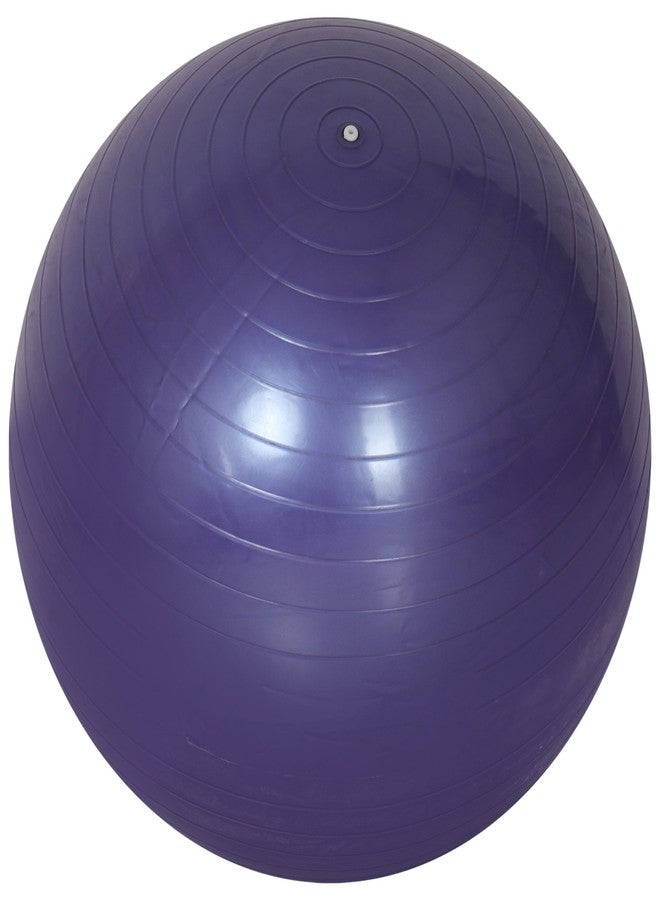 DSB PHYSIO MART Physio Therapy Exercise Original Zym Ball Size 95 CM with Pump for Zym, Yoga, Core Strength & Fitness DSB-07D - Image 1