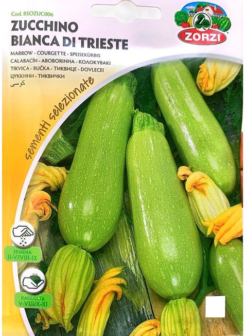 Zucchini Seeds