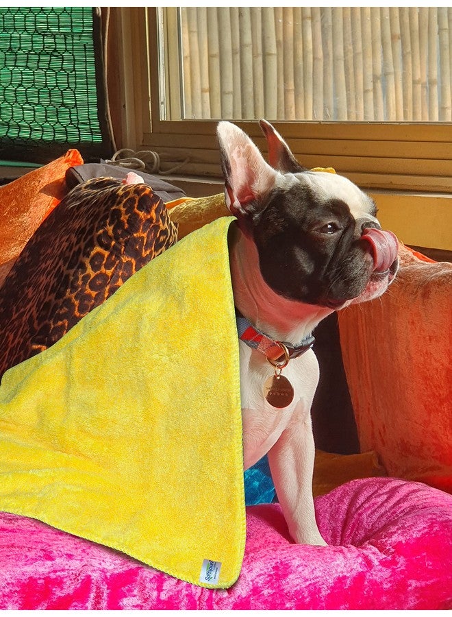 SOFTSPUN Microfiber Pet Towel 70x140 cms 1pcs 380gsm Yellow! Ultra-Soft, Ultra-Absorbent for Drying Medium & Large Dogs & Cats of All Breeds Quickly. - Image 4