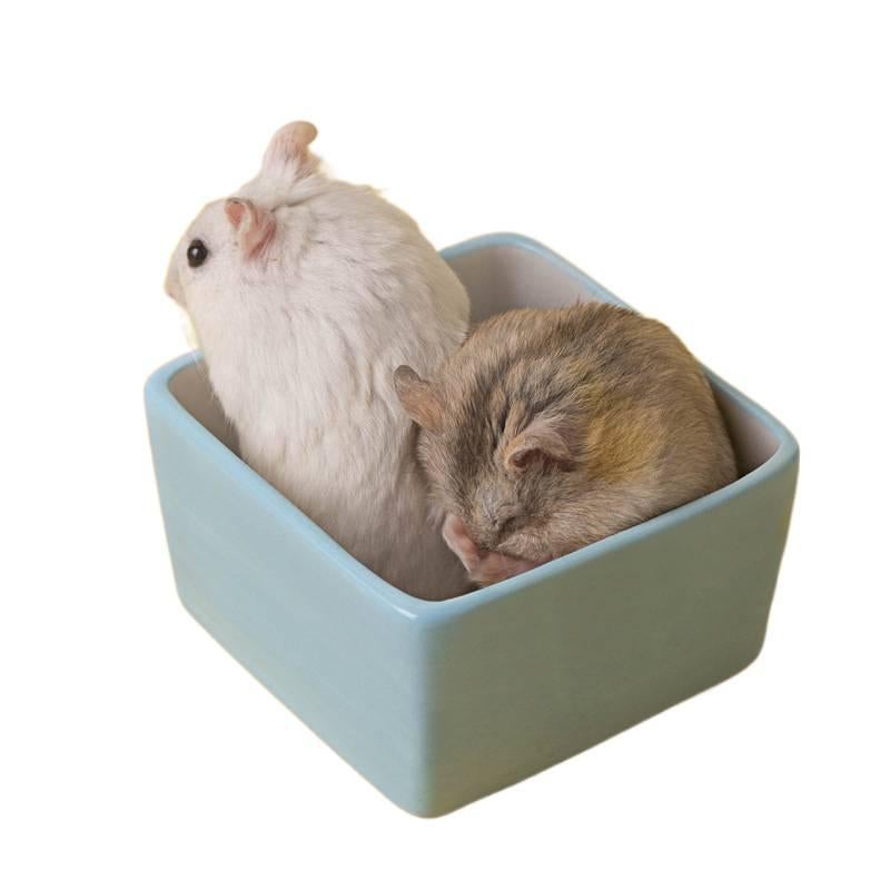 Floor Mat Use Feeding and Water Pet Bowl Easy Clean Bowl Home Feeding Accessory for Cats - Image 4