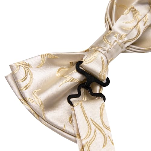Dubulle Beige Champagne Bowtie for Men Paisley Floral Mens Pretied Bowtie Lapel Pin Set Pocket Square Cufflinks Wedding - Image 3
