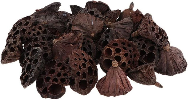 كلاراكو مجموعة من 30 قرن لوتس مجفف طبيعي لتنسيق الزهور، باقة زفاف العروس، ديكور المنزل، إكليل الزهور - Image 2