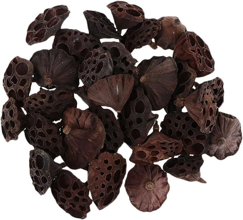 كلاراكو مجموعة من 30 قرن لوتس مجفف طبيعي لتنسيق الزهور، باقة زفاف العروس، ديكور المنزل، إكليل الزهور - Image 1