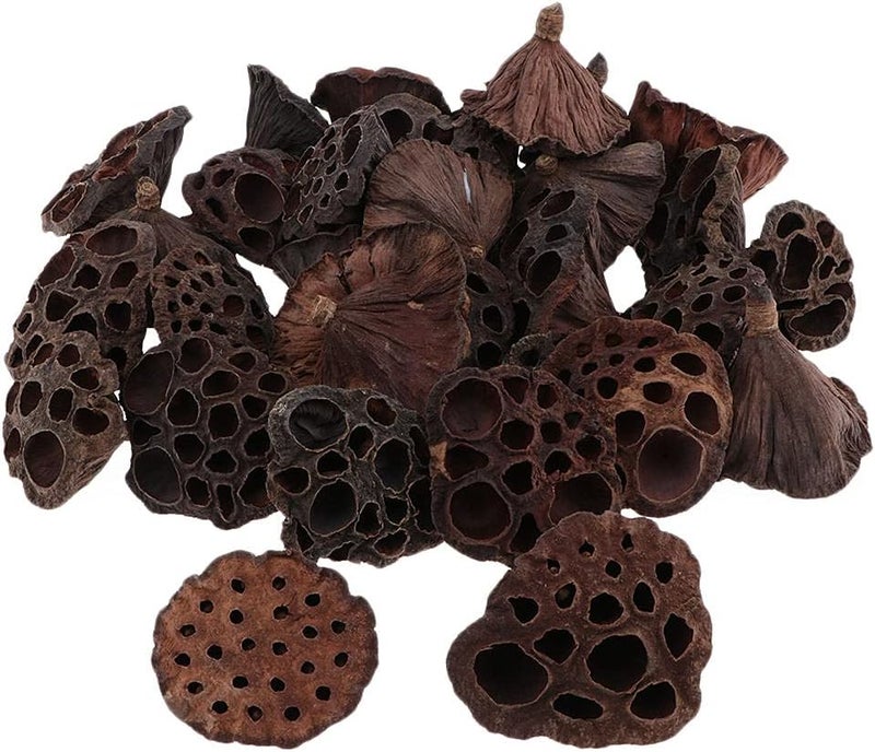 كلاراكو مجموعة من 30 قرن لوتس مجفف طبيعي لتنسيق الزهور، باقة زفاف العروس، ديكور المنزل، إكليل الزهور - Image 4