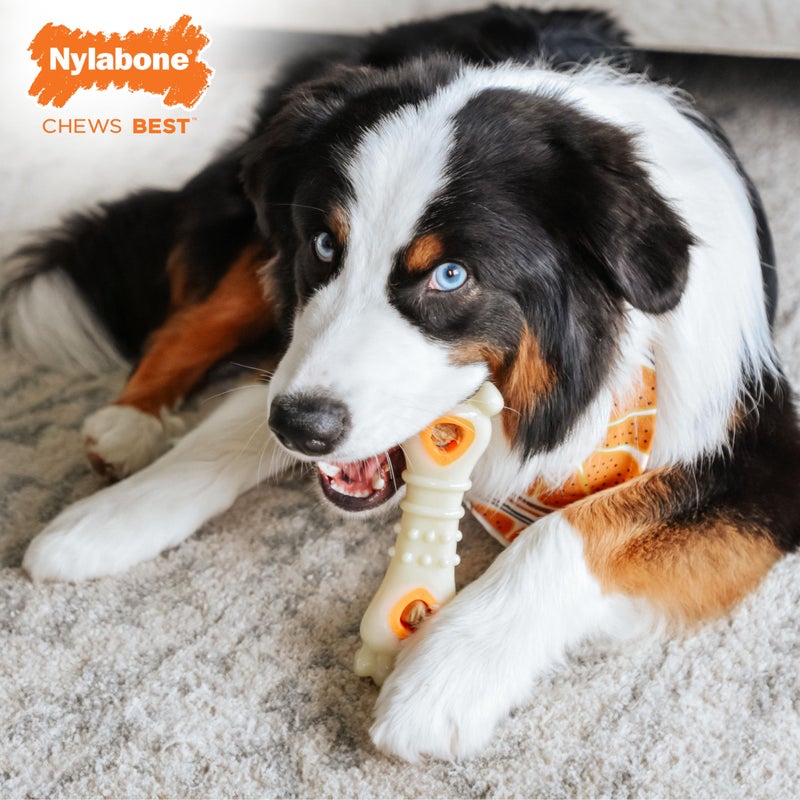 Nylabone Pop-in Treat-Toy Refill Chews, All-Natural Dog Treats for Treat Dispensing Toys, Chicken Flavor, 90 Count - Image 3