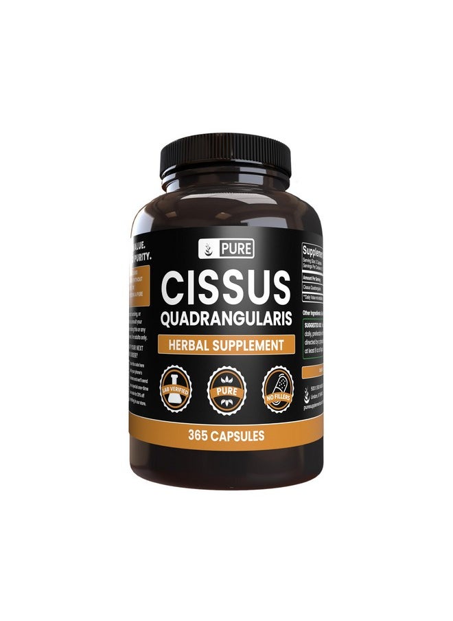 PURE ORIGINAL INGREDIENTS - Pure Original Ingredients Cissus Quadrangularis (365 Capsules) No Magnesium Or Rice Fillers, Always Pure, Lab Verified - Image 1