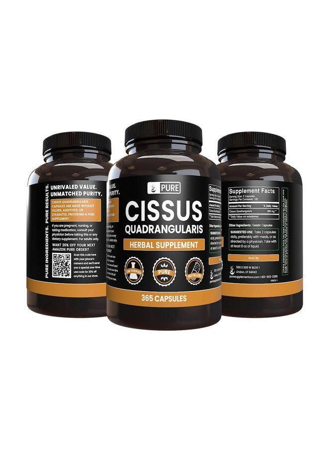 PURE ORIGINAL INGREDIENTS - Pure Original Ingredients Cissus Quadrangularis (365 Capsules) No Magnesium Or Rice Fillers, Always Pure, Lab Verified - Image 1