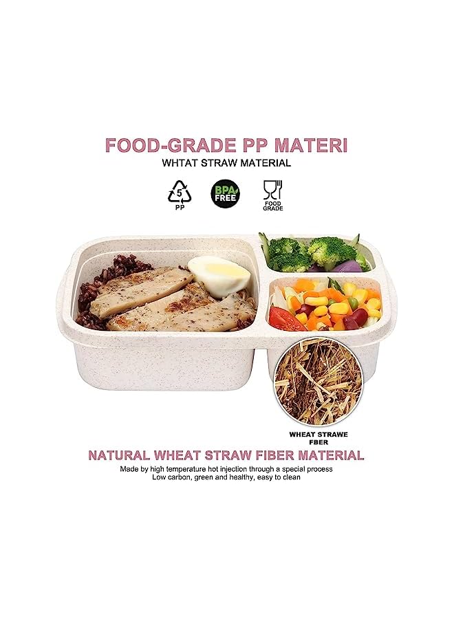 Green Tiger Bento Boxes, 4 PCS Lunch Boxes, Food Storage Containers, 3 Compartments Lunchable Containers, 4 Colors Bento Snack Boxes, School Office Camping Kids Adults Lunch Boxes, 23.5 * 15 * 5cm - Image 4