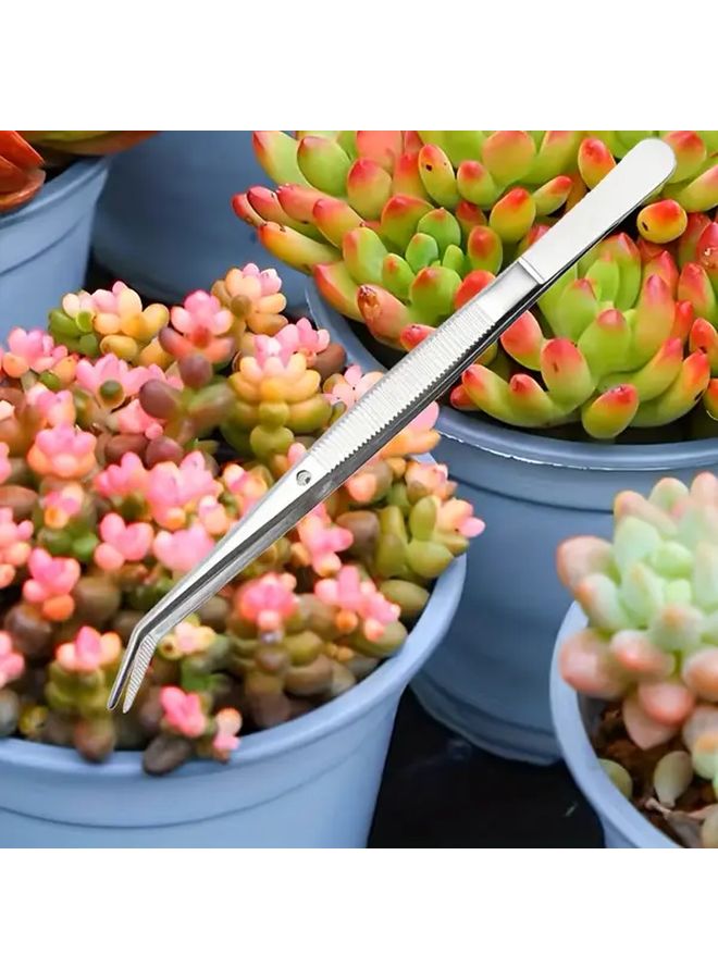 Professional Stainless Steel Serrated Tip Tweezers Silvery For Medical Dental Crafts - Image 4