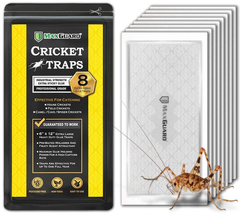 MaxGuard Extra Large Cricket Traps (8 Traps) | Non-Toxic Extra Sticky Glue Board Pre-Baited Cricket Attractant Trap & Kill House Crickets, Insects, Spiders, Bugs - Image 1