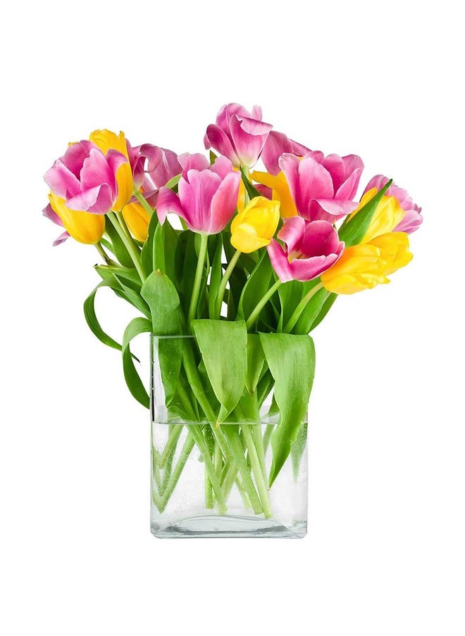 CYS EXCEL Glass Book Vase (H:10" Open:7"X2") | Multiple Size Choices Round Edge Oval Flower Vase | Rectangular Wedding Centerpiece Vases  - Image 3